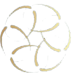 Logo Leonardo Parr